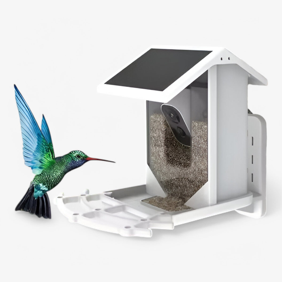 pets : Auxco | Smart Bird feeder in van Pantino