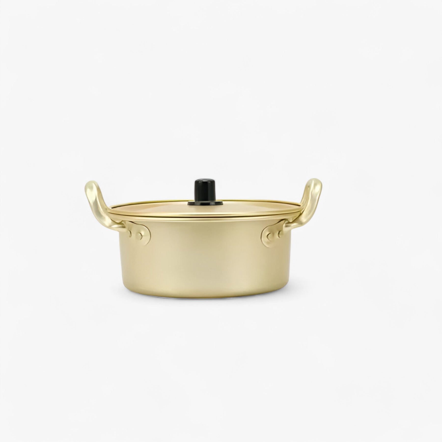 home & garden : Hana | Gouden Noodle Pot in 16CM van Pantinoshop