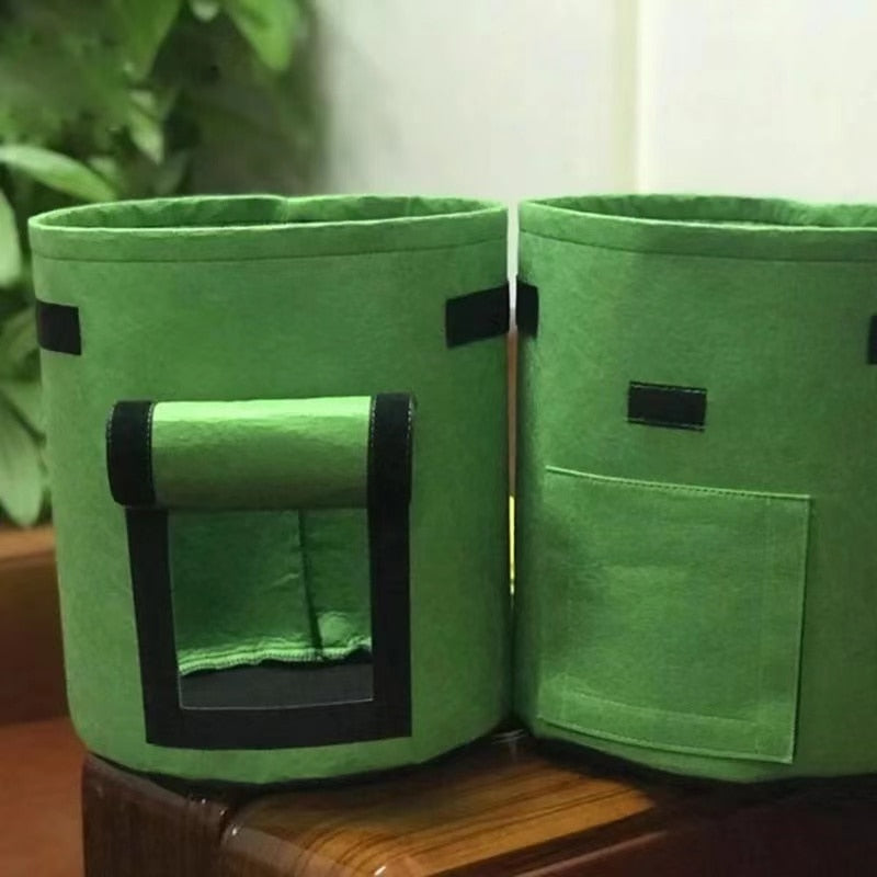 home & garden : Kwik Kweekpotten | De leukste kweekpot voor groenten in Groen S van Pantino