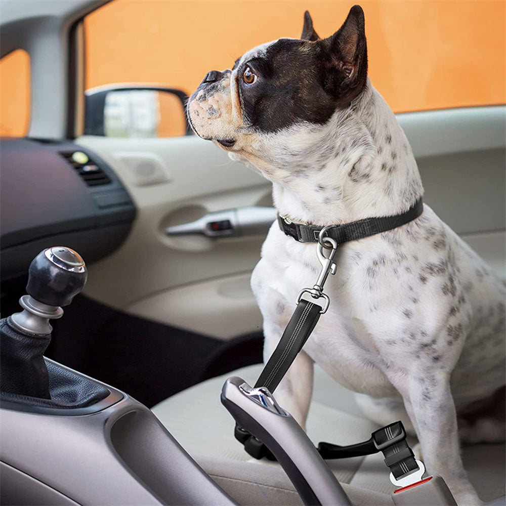 pets : PetGuard Belt™ | Reis Veilig met Jouw Hond in van Pantino