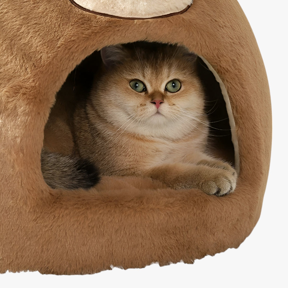 pets : Mino | Hoepel Kattenbed – Warm, Knus en Beschut Nest in van Pantinoshop