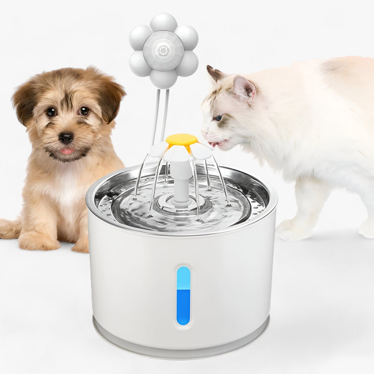 pets : Whisky | Automatische waterdispenser - Gefilterd vers water voor huisdieren in van Pantinoshop
