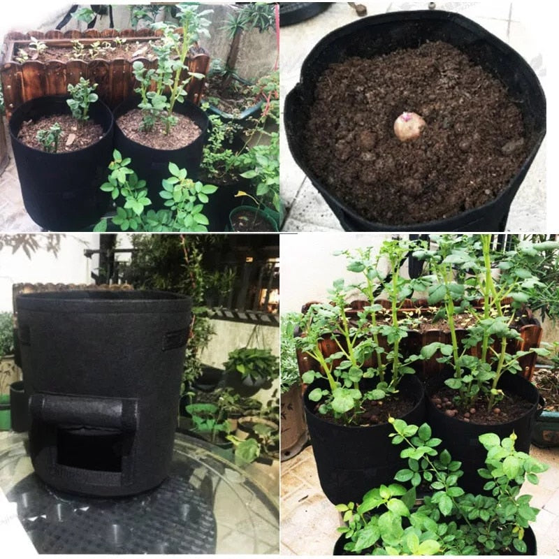 home & garden : Kwik Kweekpotten | De leukste kweekpot voor groenten in van Pantino