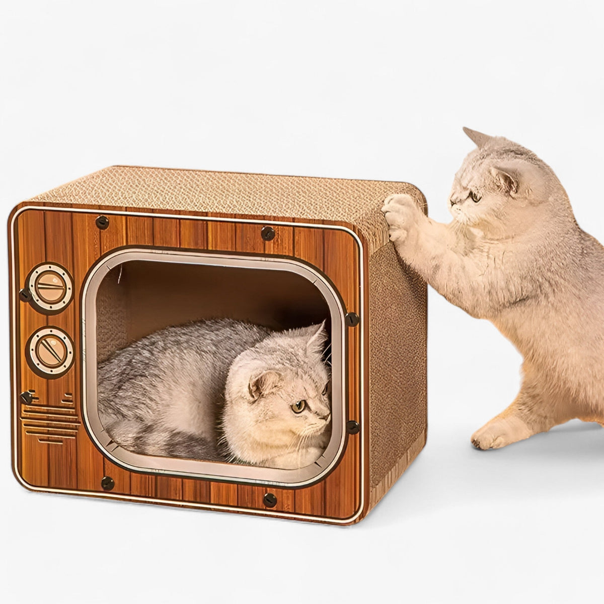 pets : Nova Creatieve krabpaal voor Televisie in van Pantinoshop