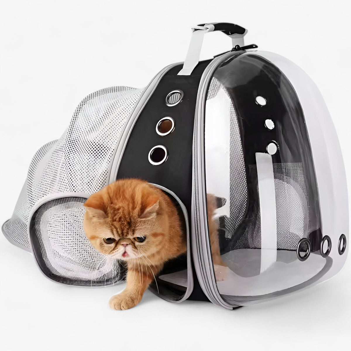 pets : Luna | Ruimtelijke kattenrugzak met astronautenthema en bolle venster in van Pantinoshop