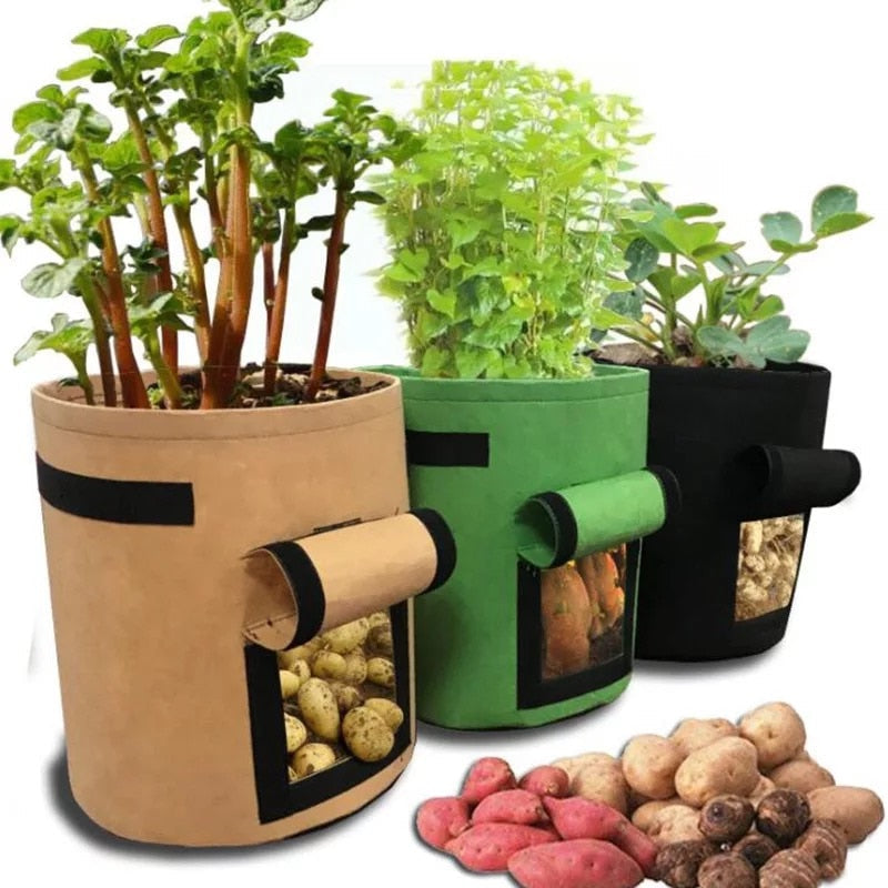 home & garden : Kwik Kweekpotten | De leukste kweekpot voor groenten in Bruin S van Pantino