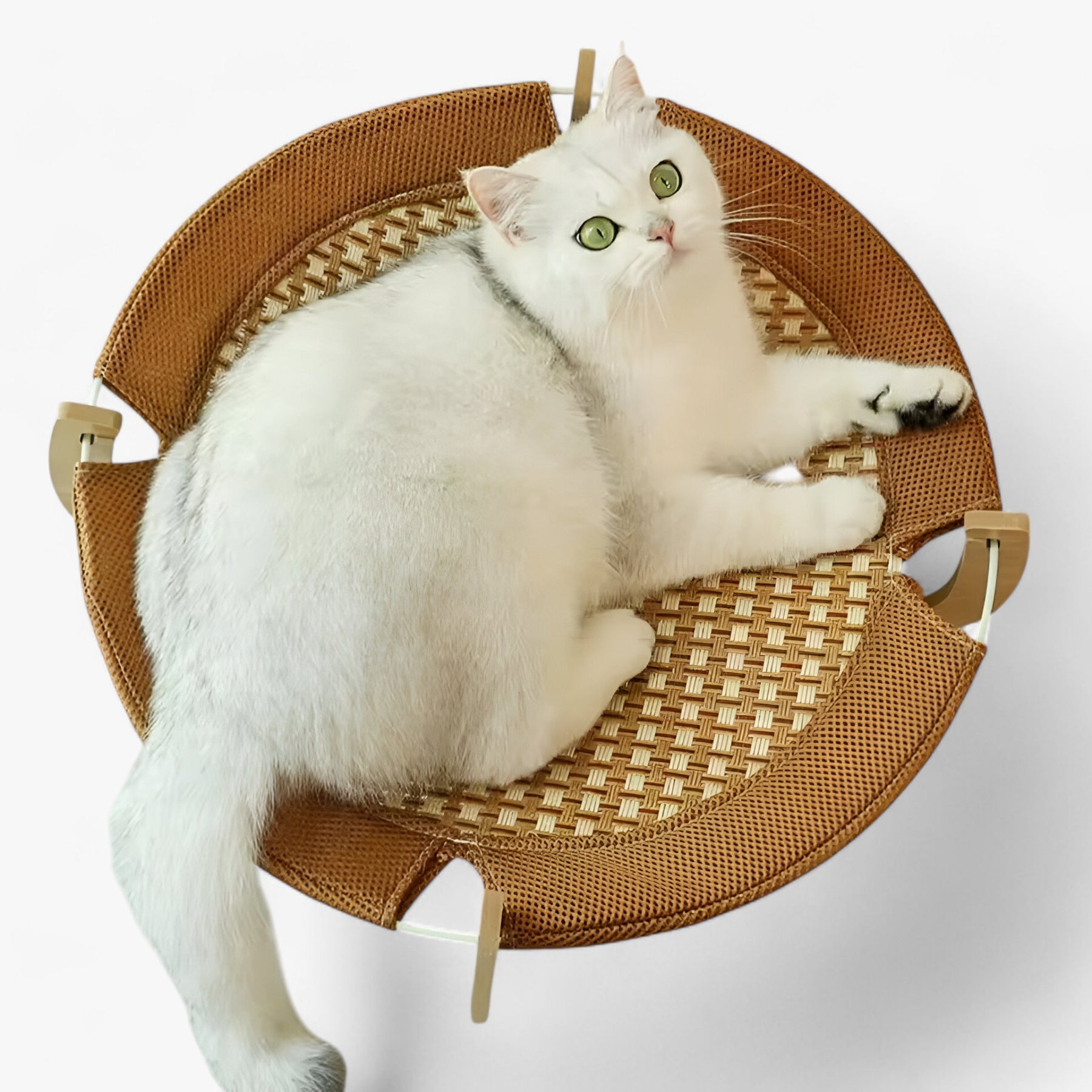 pets : Nova | Houten kattenbed met stevige hangmat in van Pantinoshop
