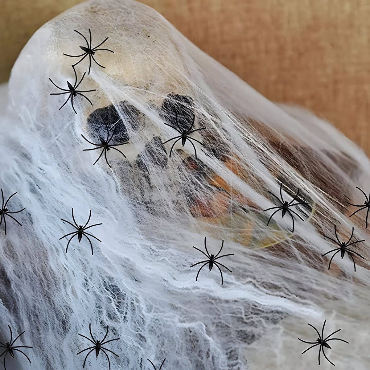 home & garden : Webster | Halloween Spinnenweb - Rekbaar spinnenweb en spinnen voor griezelige feestelijke wisieten in van Pantino