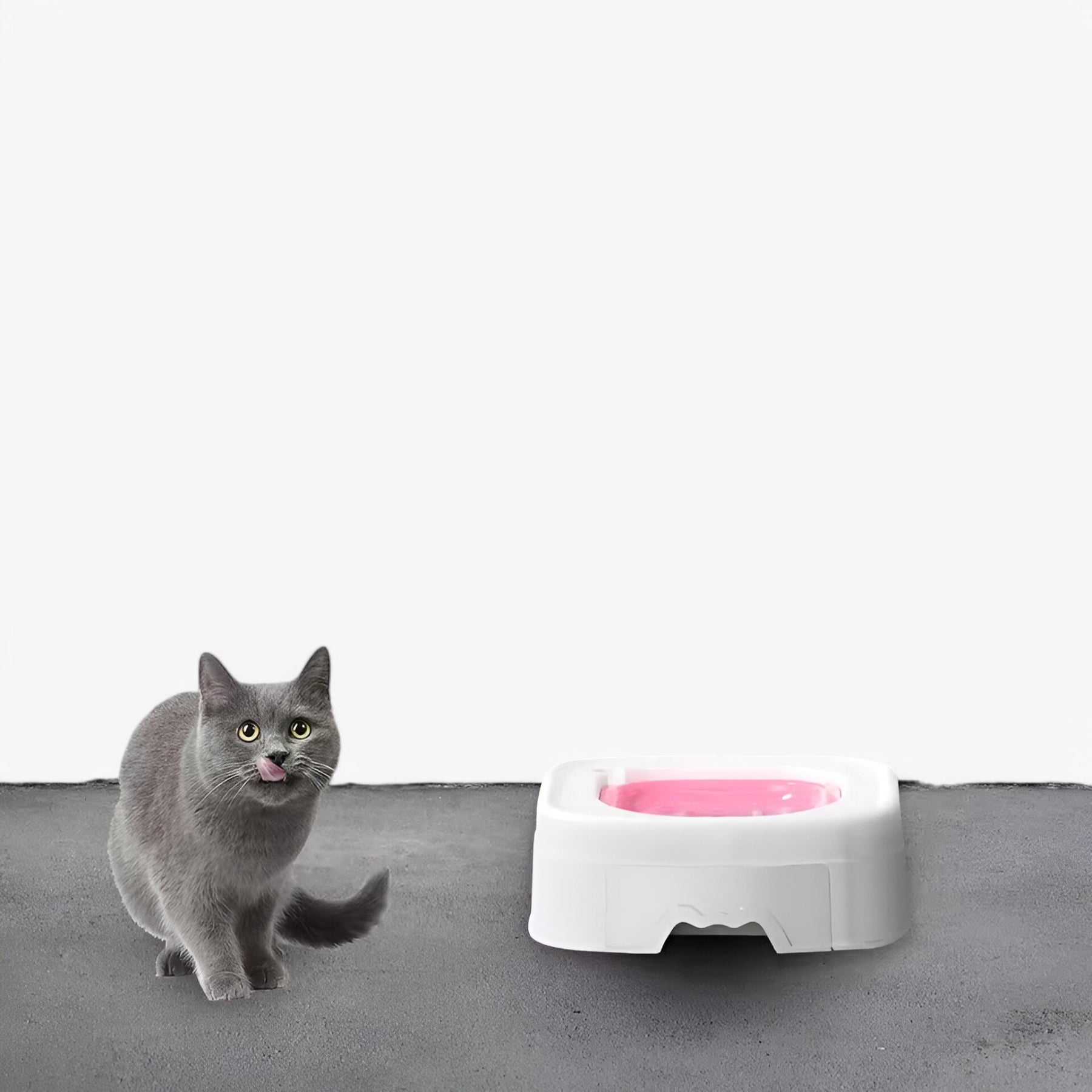 pets : Luna | Kat Toilettrainingsset in van Pantinoshop