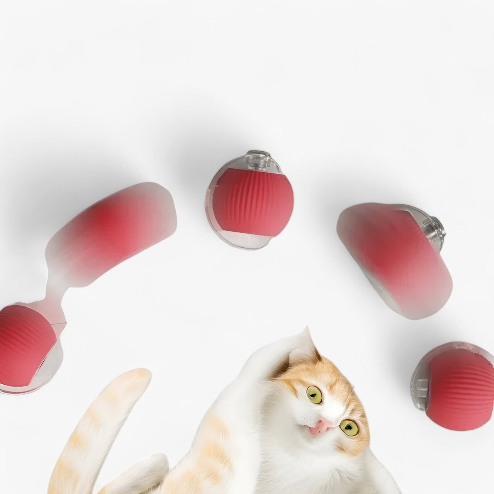 Luna | Slimme Speelbal voor Katten - €25 : Luna | Slimme Speelbal voor Katten in van Pantinoshop