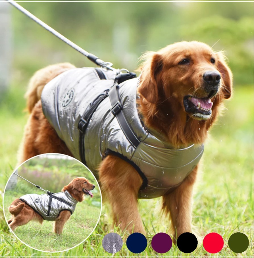 pets : Emmaly - Extreem waterdichte hondenjas - comfortabel en cute in van pantino