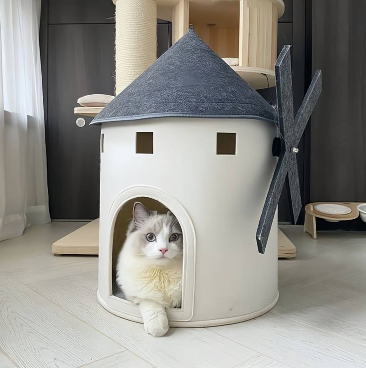 pets : De Katten Windmolen in van Pantino