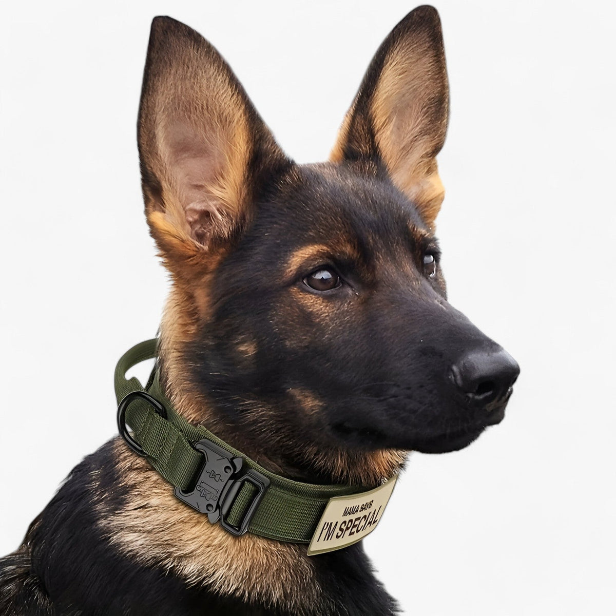 pets : Brodie| Tactisch hondenhalsband met handvat voor training in van Pantinoshop