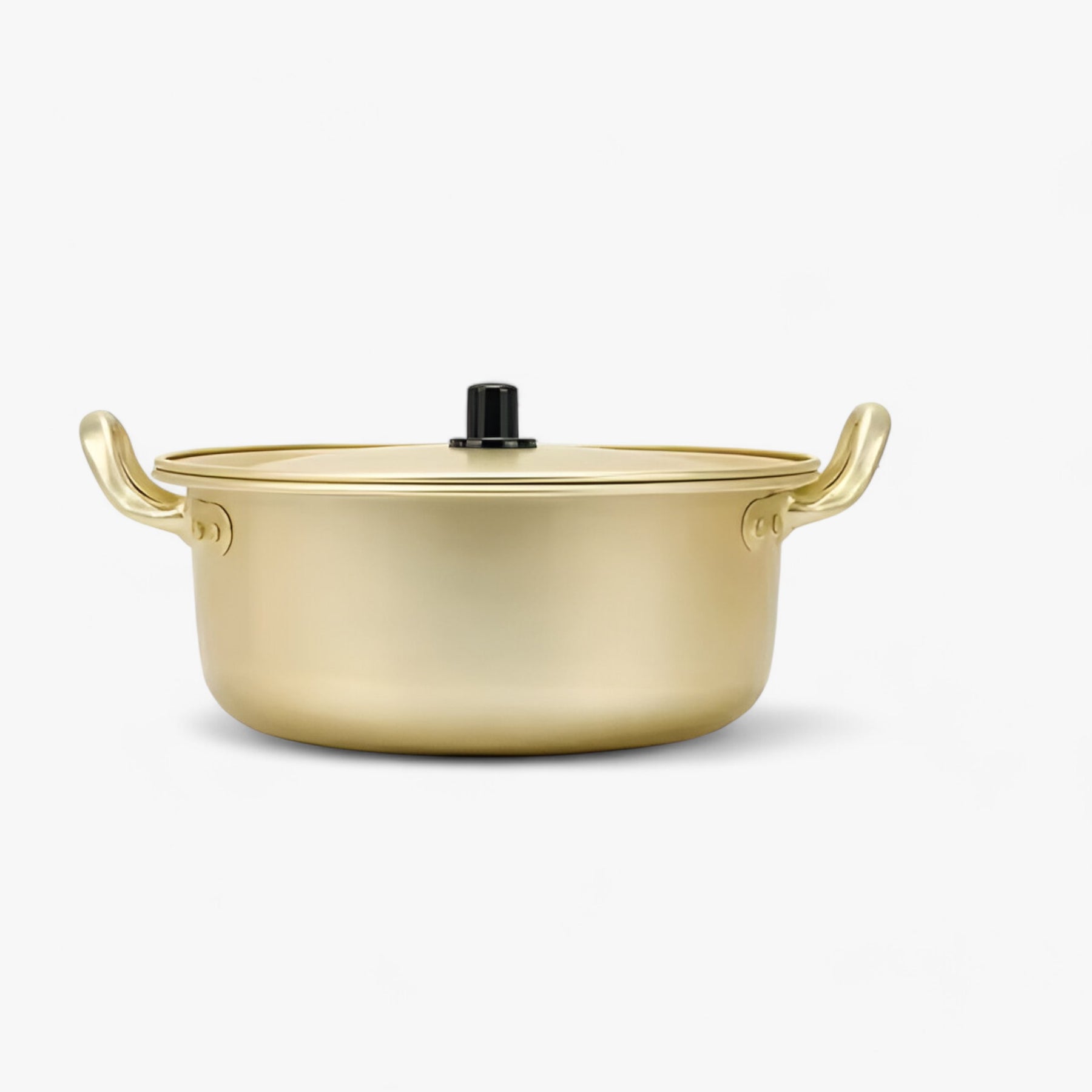 home & garden : Hana | Gouden Noodle Pot in 22CM van Pantinoshop