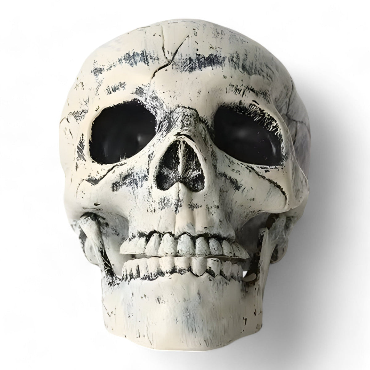 home & garden : Gustave | Fantomische Halloween Decoratie - Plastic Skelet en Skull Ornamenten in Schedel van Pantinoshop