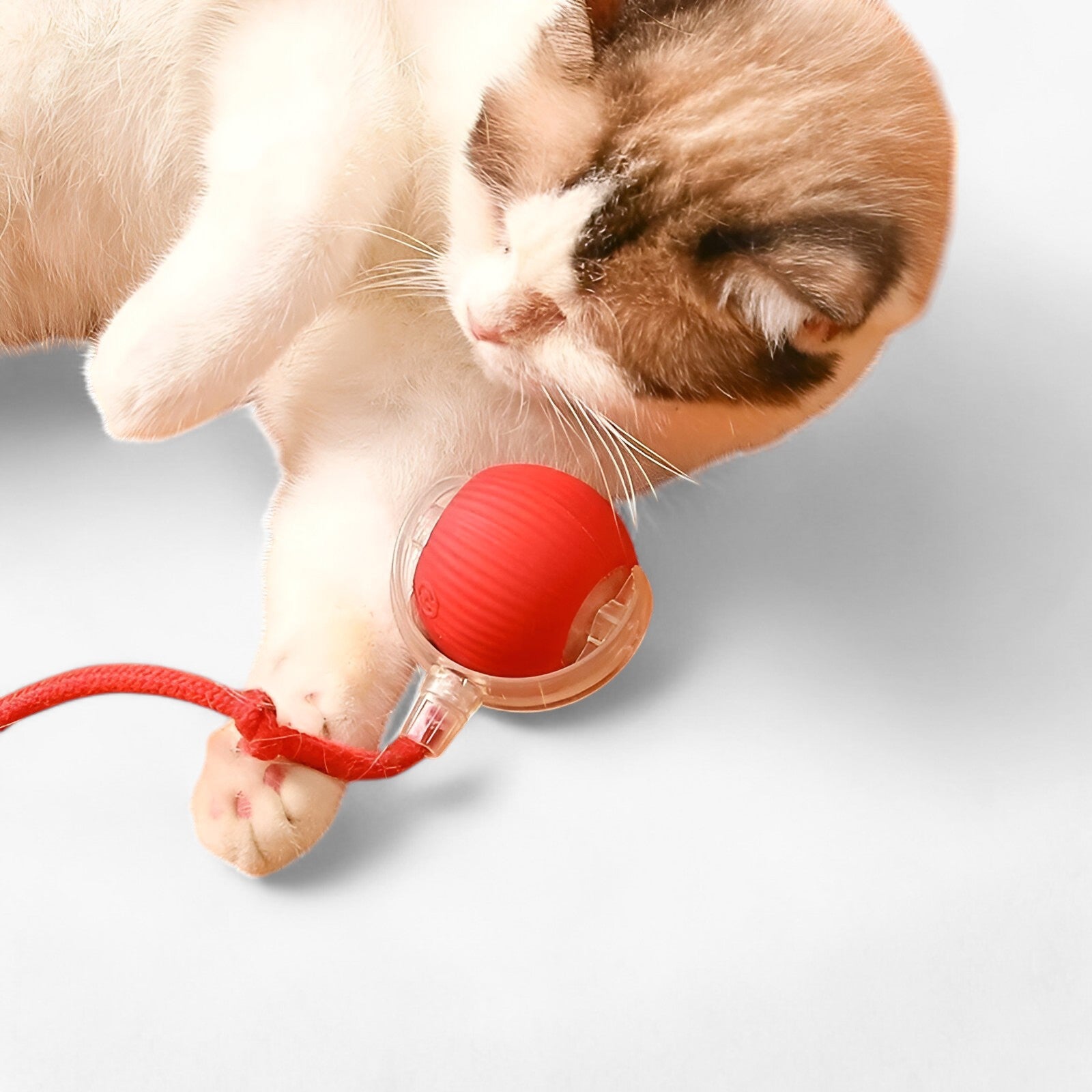 Luna | Slimme Speelbal voor Katten - €25 : Luna | Slimme Speelbal voor Katten in van Pantinoshop