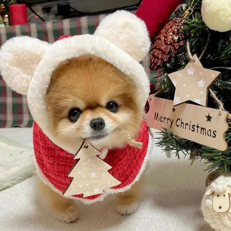 pets : Luna | Winter Warmte Huisdier Cape in van Pantinoshop