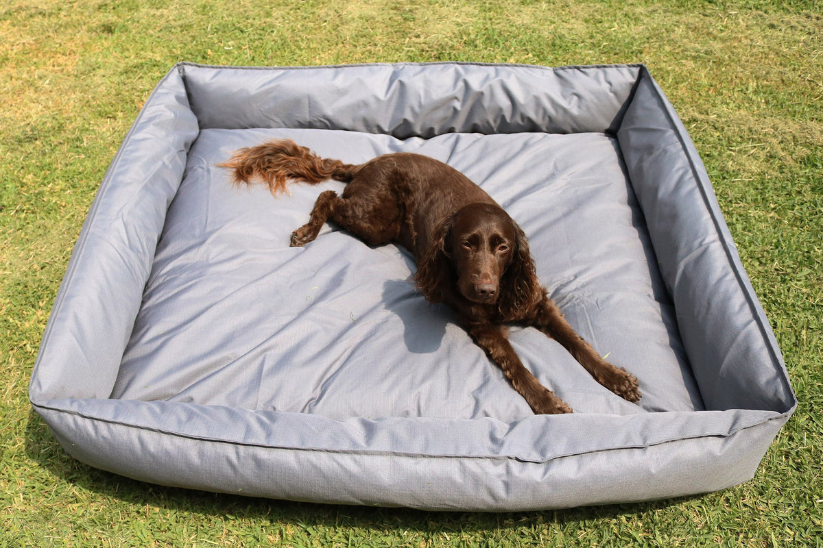 pets : Oscar - Orthopedisch Duurzaam Hondenbed in Leigrijs in Staalgrijs van Pantino