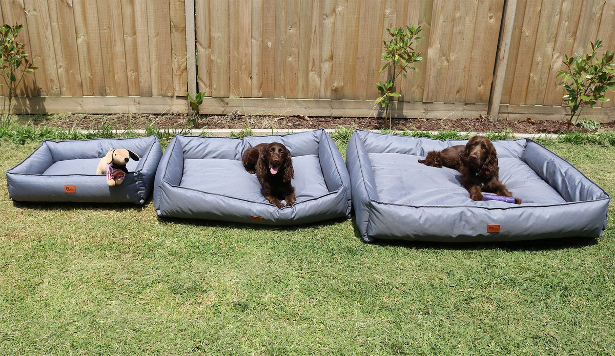 pets : Oscar - Orthopedisch Duurzaam Hondenbed in Leigrijs in Grijs oerwoud van Pantino