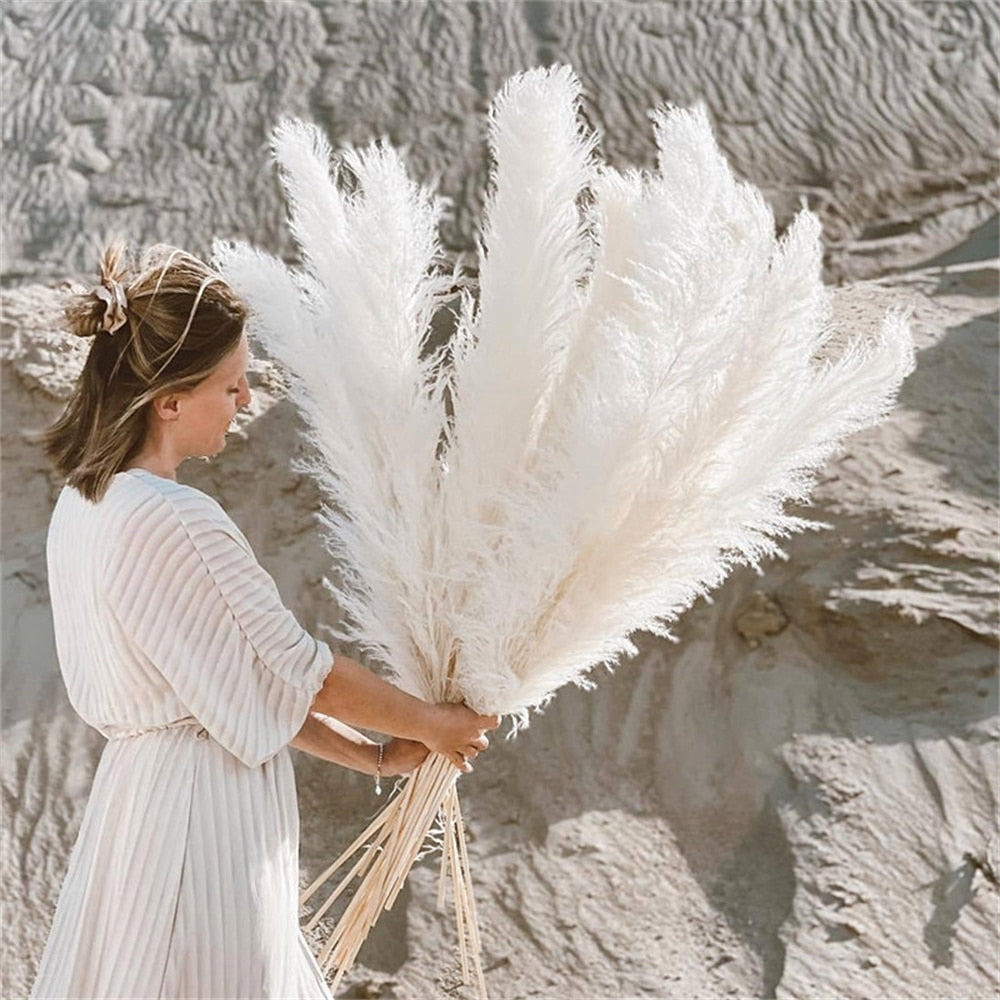 home & garden : FeatherFawn - Gedroogde Pampas Bloemen in Wit van Pantino