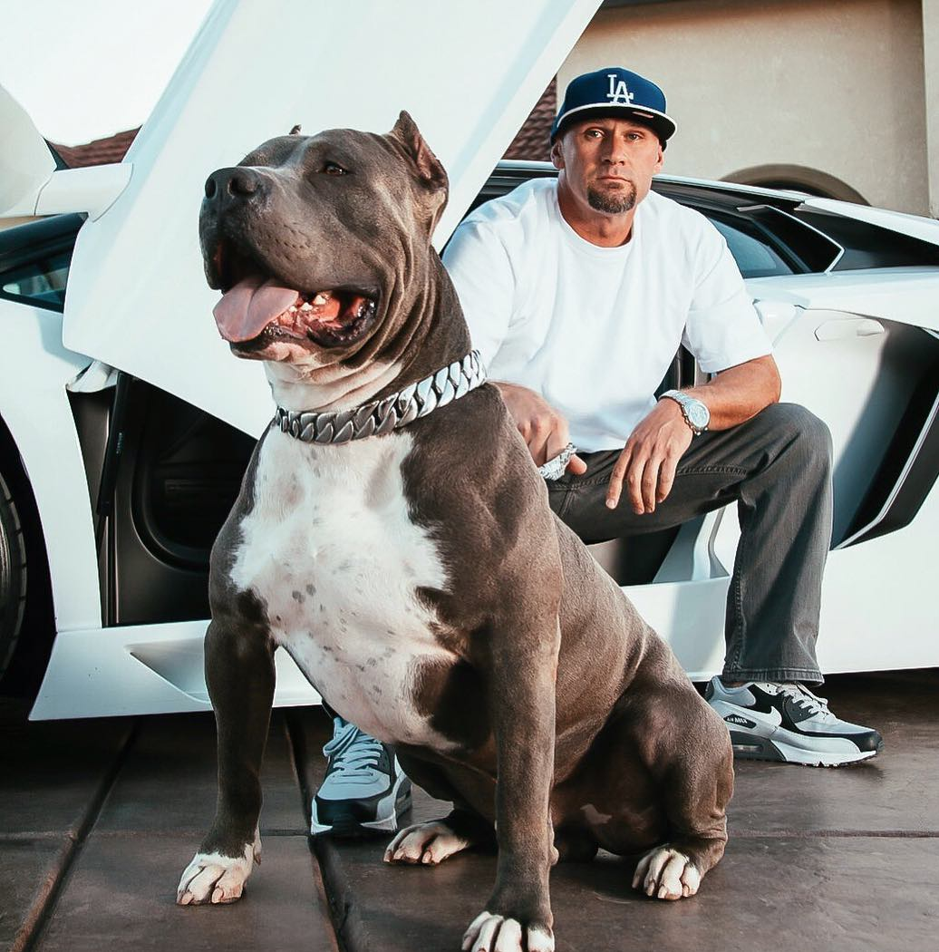 pets : BlingBling | Metalen Honden Ketting in van Pantino