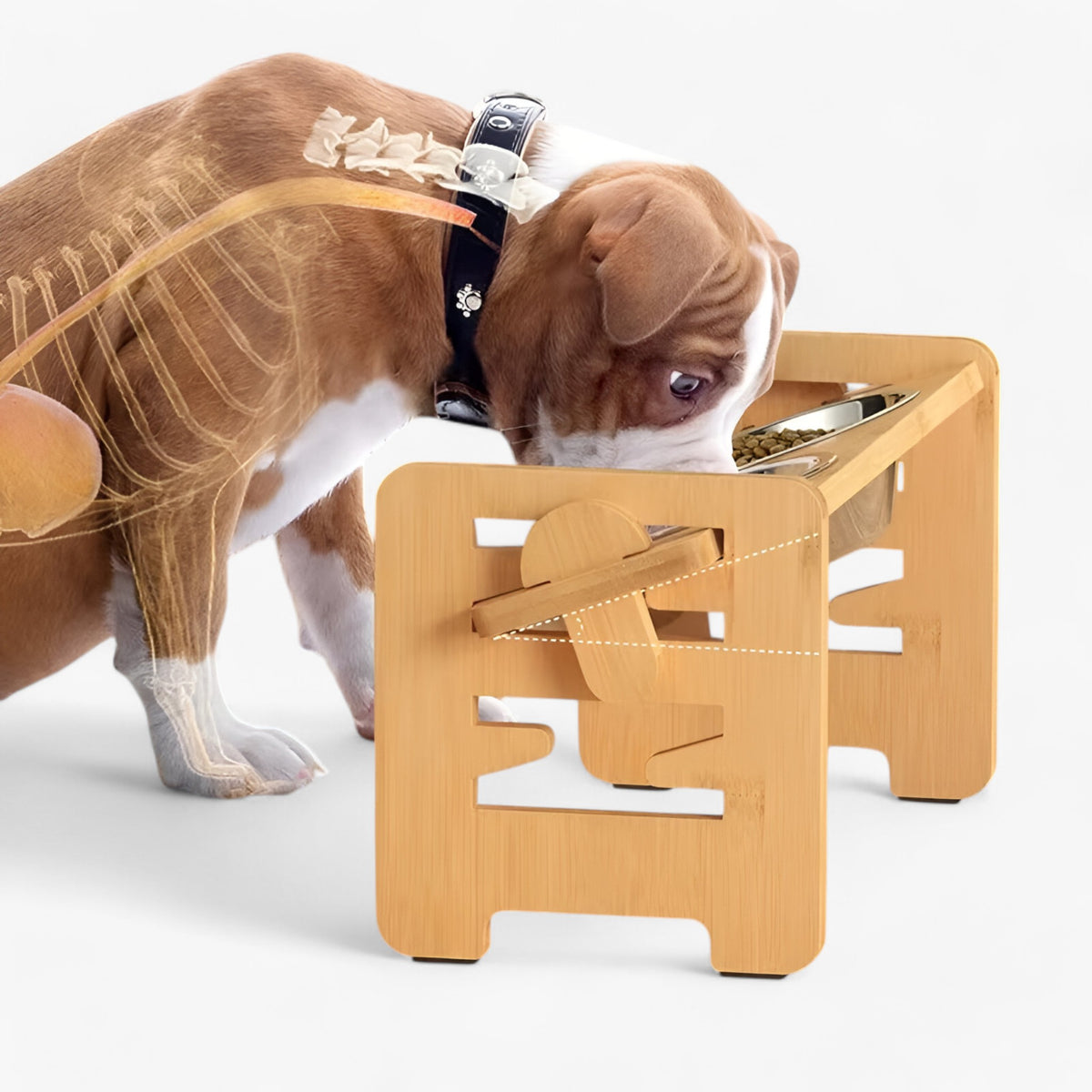 pets : Max | Verhoogde Hondenbakstandaard in van Pantinoshop