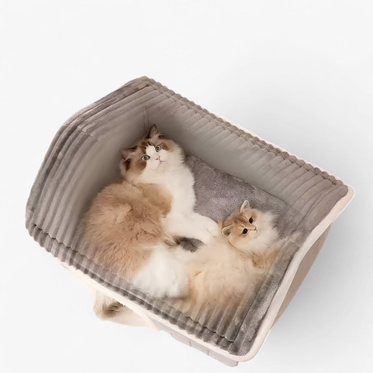 Pets House : Nala | Vouwbaar Kattenhuis Voor Buiten Met Comfort in van Pantino