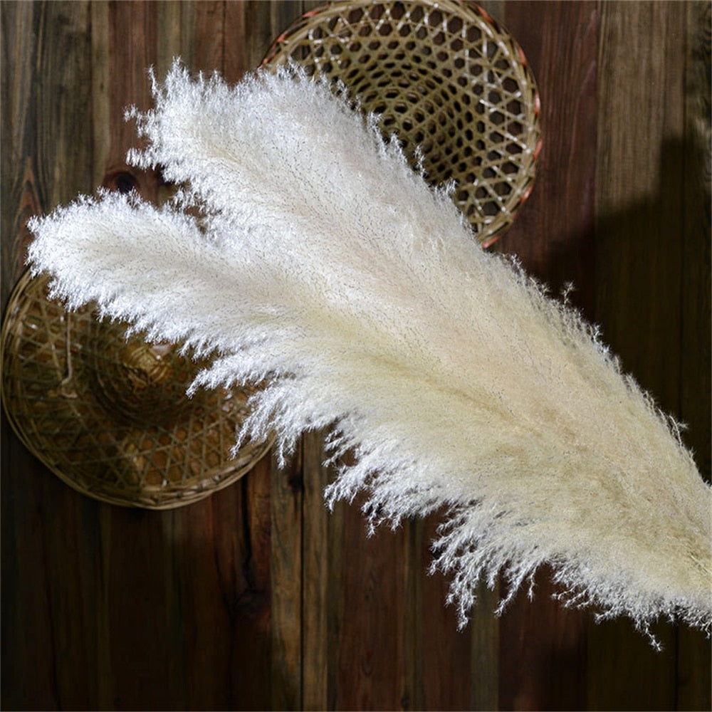 home & garden : FeatherFawn - Gedroogde Pampas Bloemen in van Pantino