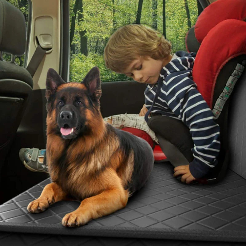 pets : PetCruiser™ in van Pantino