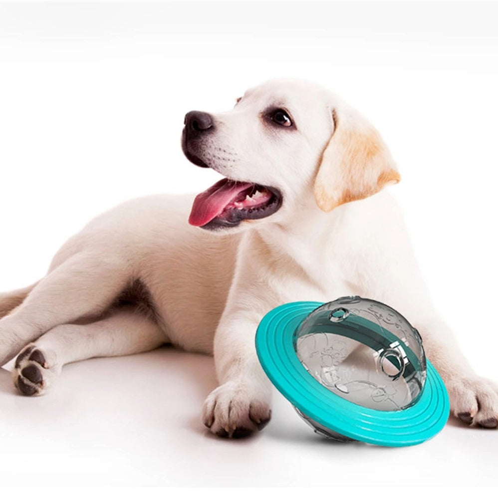 pets : Fundog - Jouw weg naar een gelukkige en tevreden hond! in van Pantino