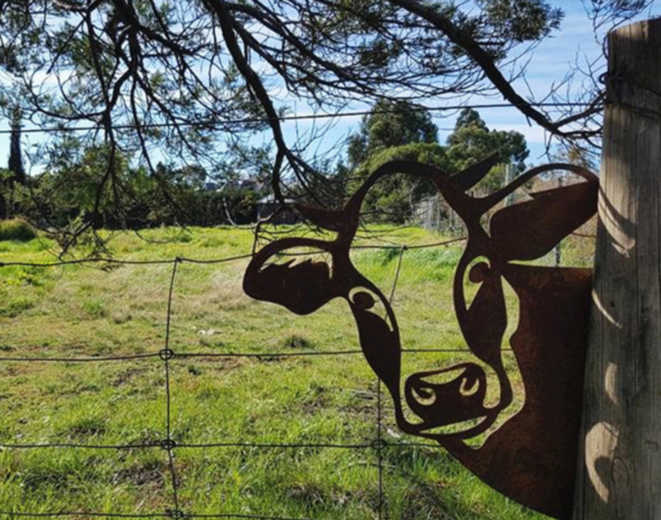 home & garden : Peek a Boo Decor™️ in van Pantino