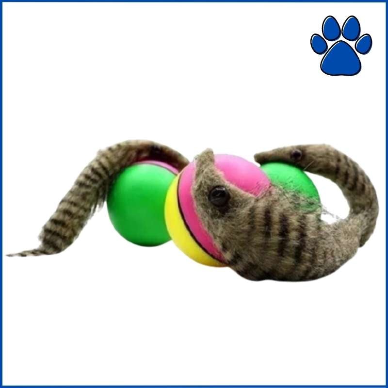pets : PlayBall | Elektronisch Interactief Speelgoed voor Dieren in van Pantino