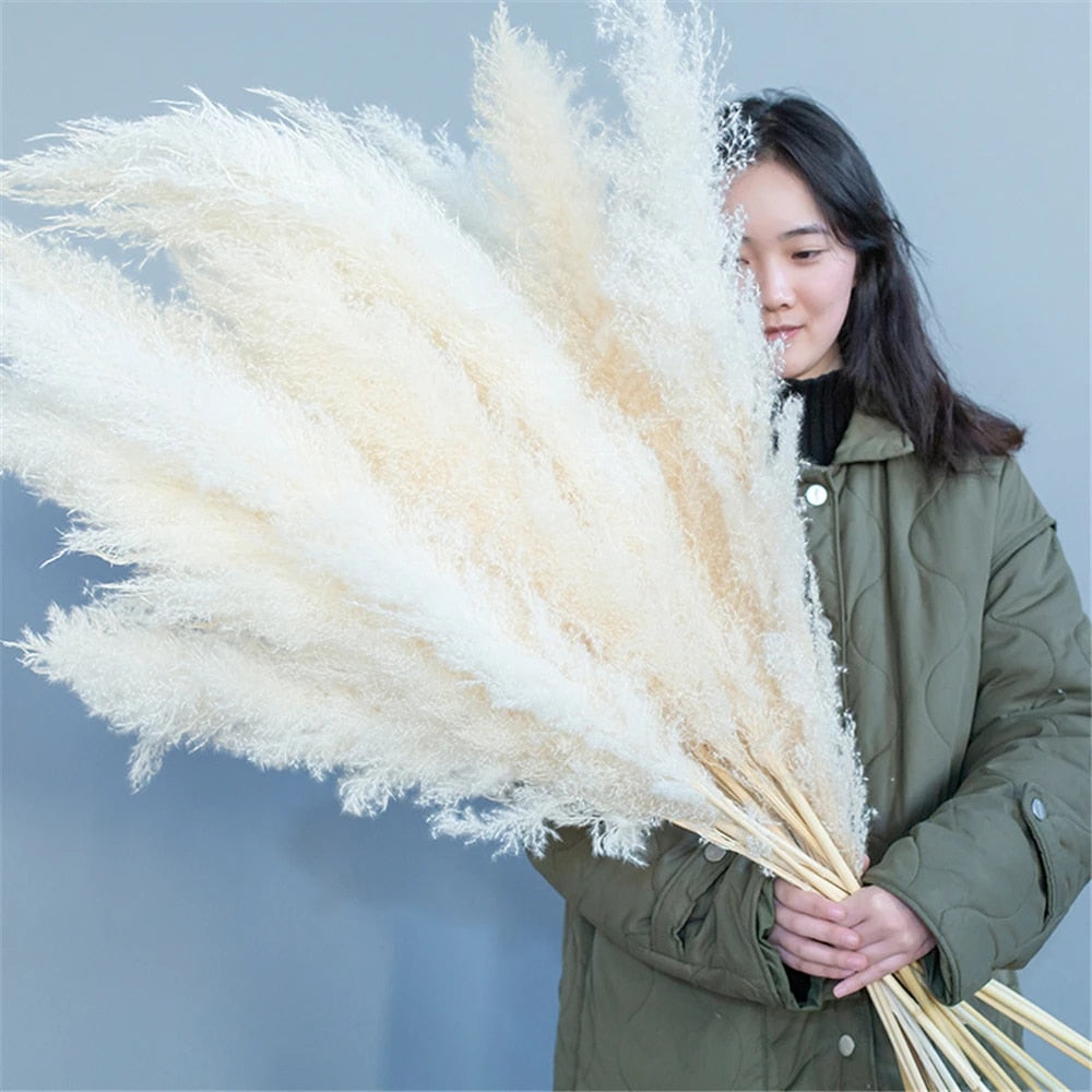 home & garden : FeatherFawn - Gedroogde Pampas Bloemen in van Pantino