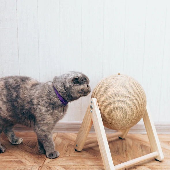 pets : Katten Krab Toy in Klein van Pantino