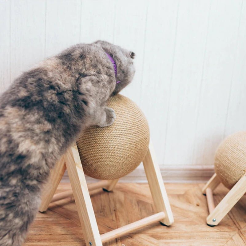 pets : Katten Krab Toy in van Pantino