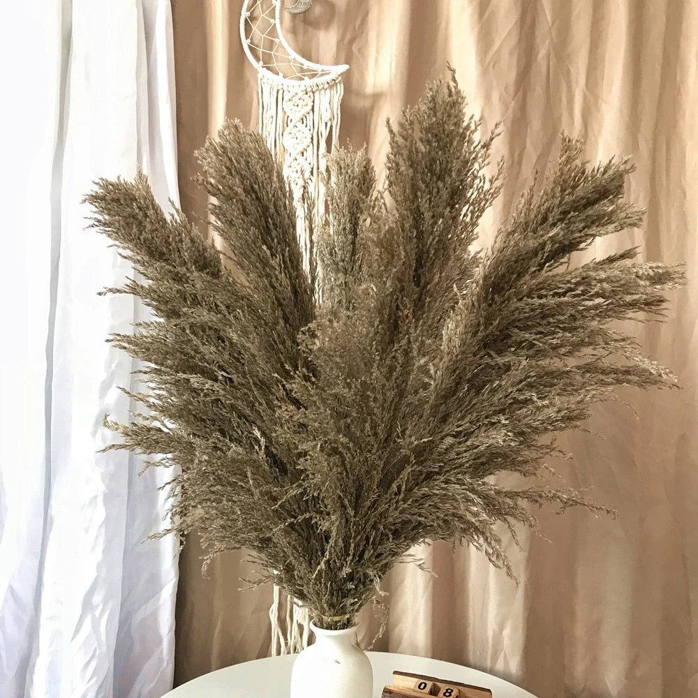 home & garden : FeatherFawn - Gedroogde Pampas Bloemen in Natuurlijk grijsbruin van Pantino