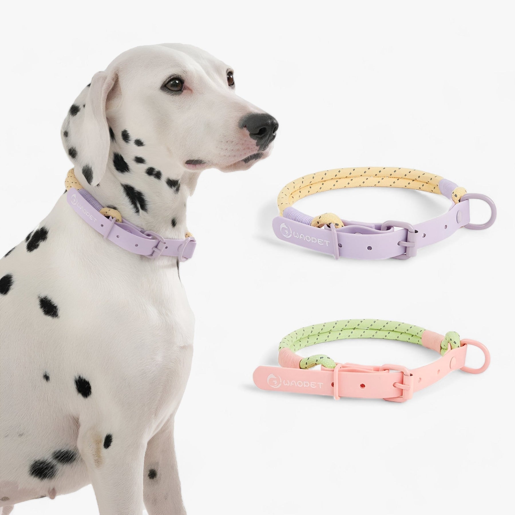 PAWFECT PALS | Hondenhalsband-Set - Opvallend ontwerp met duurzaam PVC- €25 : PAWFECT PALS | Hondenhalsband-Set - Opvallend ontwerp met duurzaam PVC in van Pantinoshop