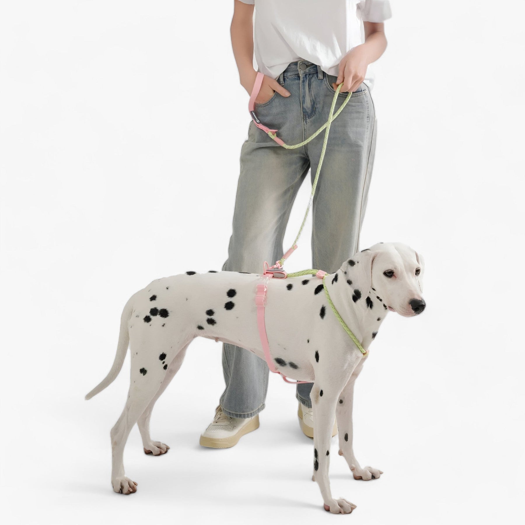 PAWFECT PALS | Hondenhalsband-Set - Opvallend ontwerp met duurzaam PVC- €25 : PAWFECT PALS | Hondenhalsband-Set - Opvallend ontwerp met duurzaam PVC in van Pantinoshop