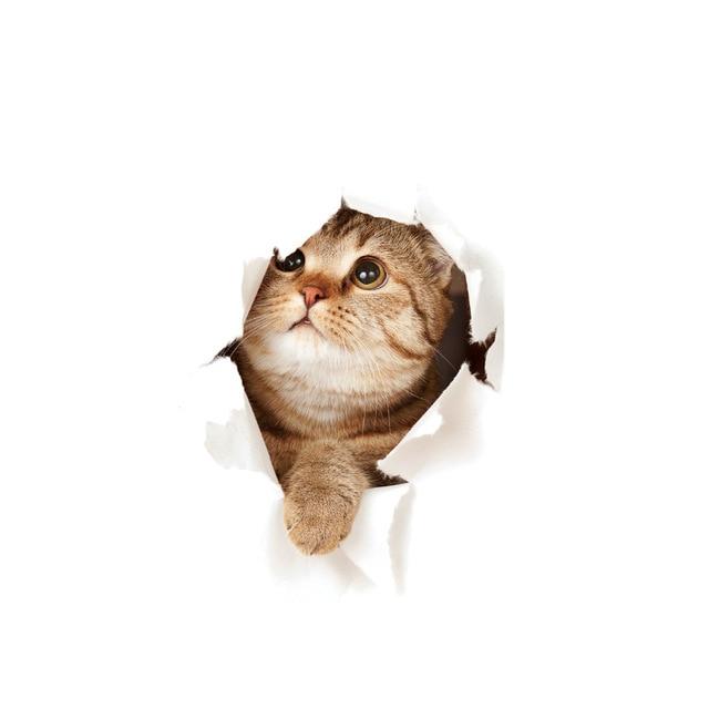 home & garden : 3D Kat Sticker Muursticker in Katze6 van Pantino