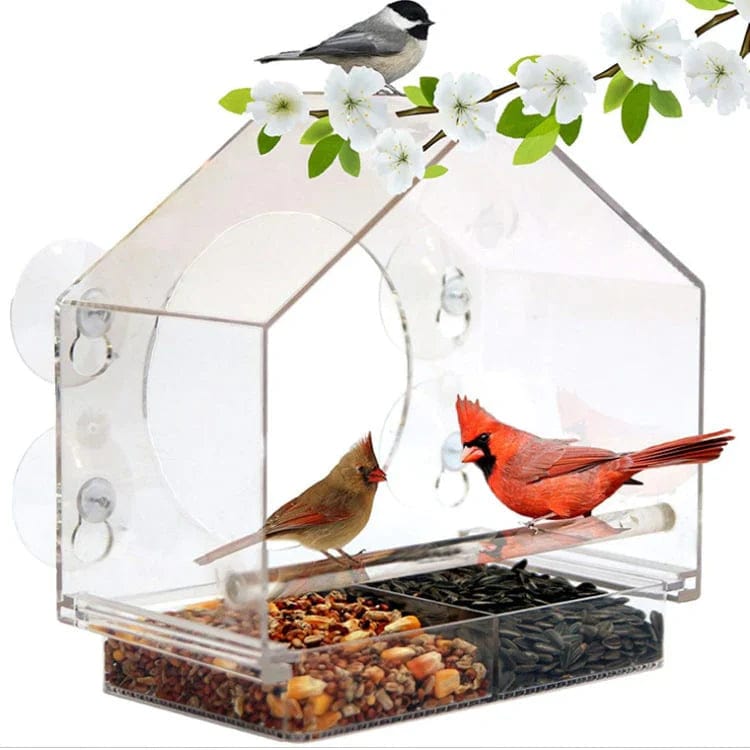 pets : Window Bird Feeder | Gezellige Lentedagen. in van Pantino