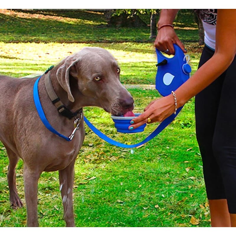 pets : 5-in-1 Hondenriem™ in van Pantino
