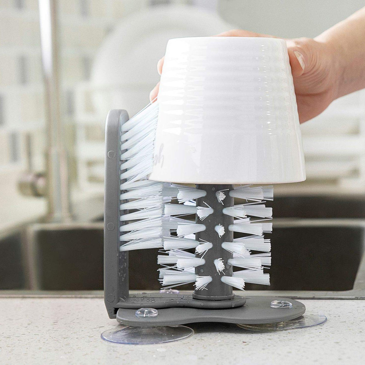 home & garden : 360° Glazenborstel™ in van Pantino