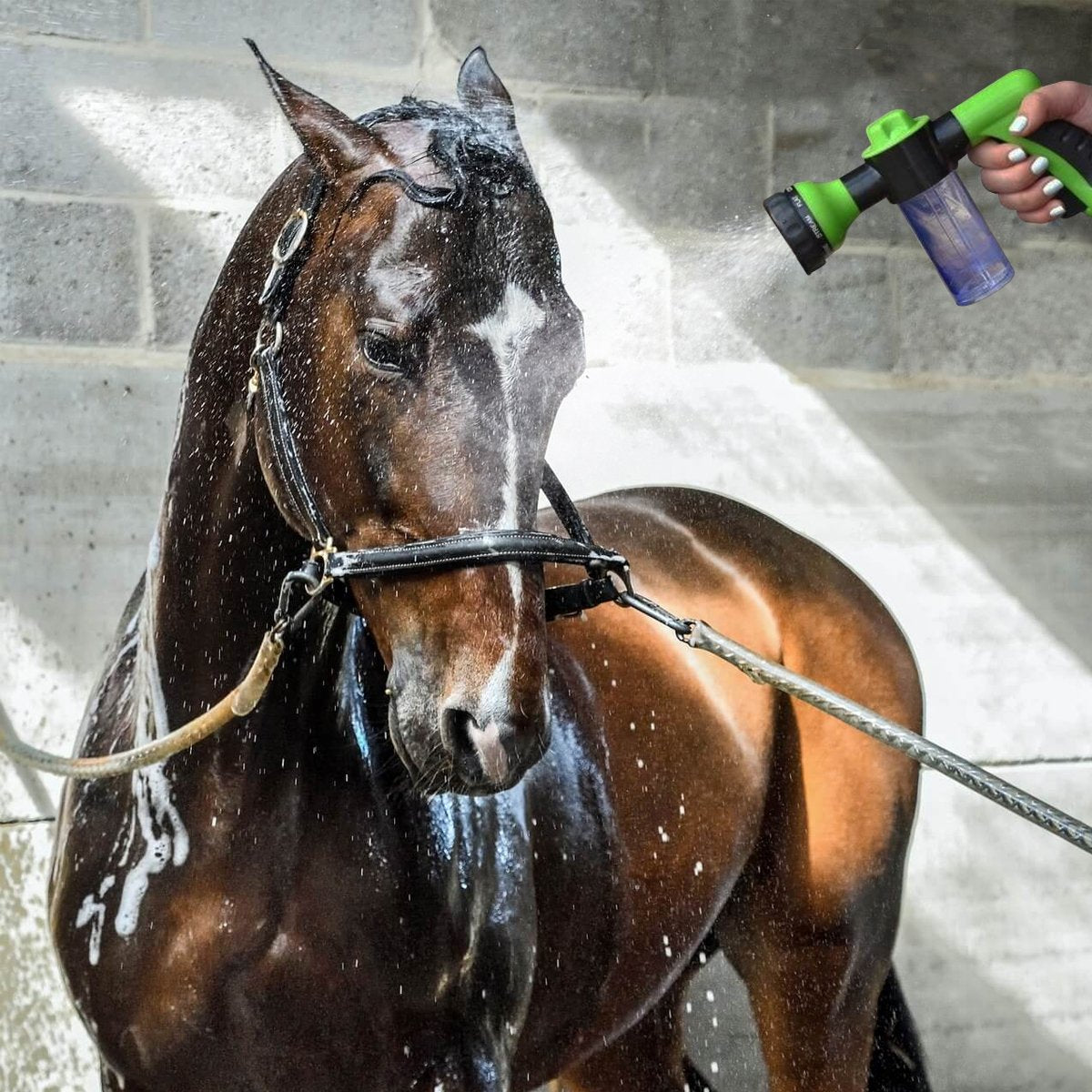 pets : Nozoo Pony Jet | Was je paard als nooit tevoren! in van Pantino
