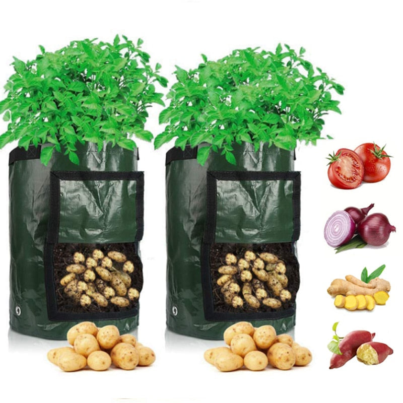 home & garden : Aardappel Groeiende Zak in Groen van Pantino