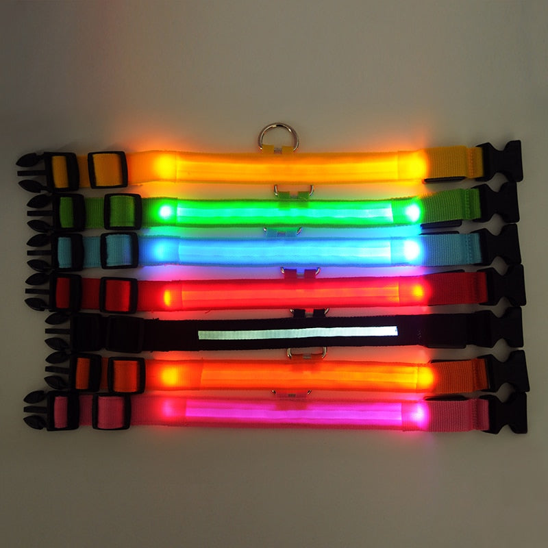 pets : LED Halsband in van Pantino