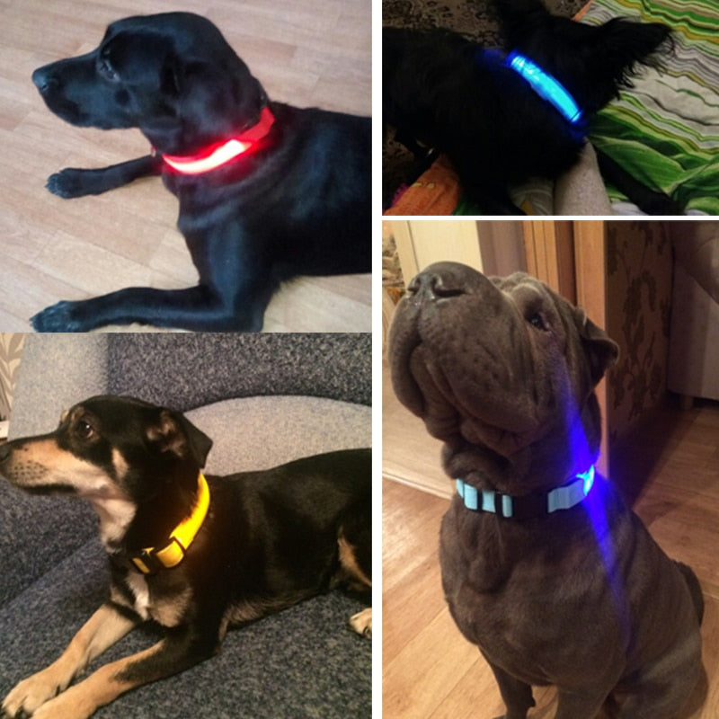 pets : LED Halsband in van Pantino