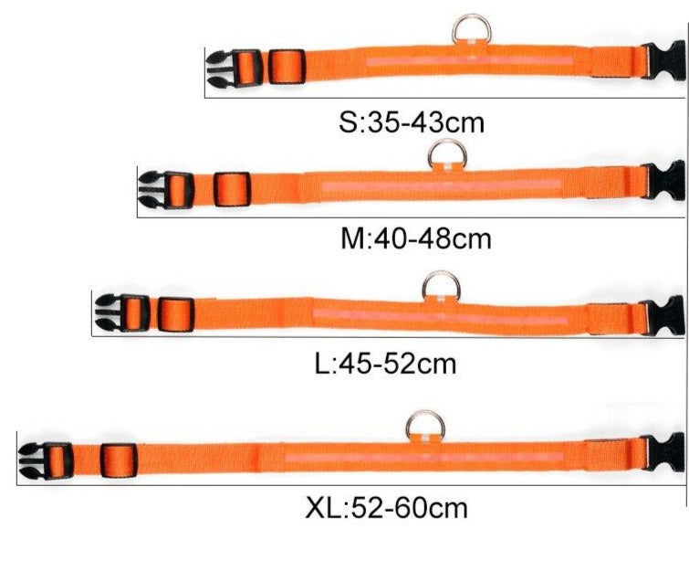 pets : LED Halsband in van Pantino