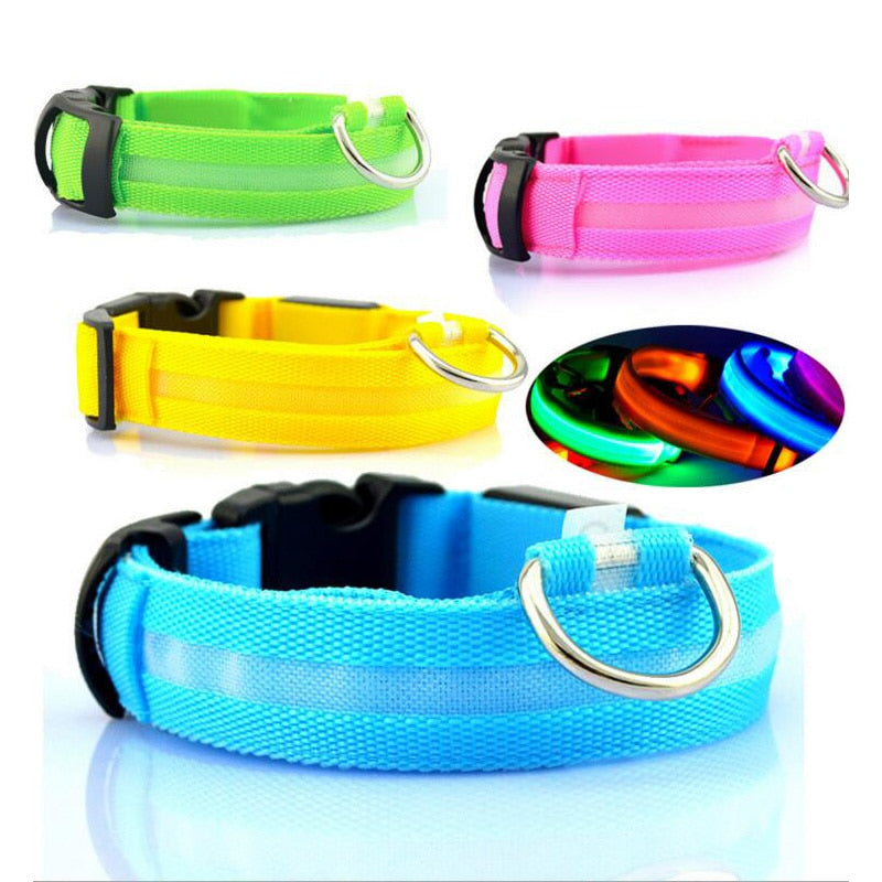 pets : LED Halsband in van Pantino