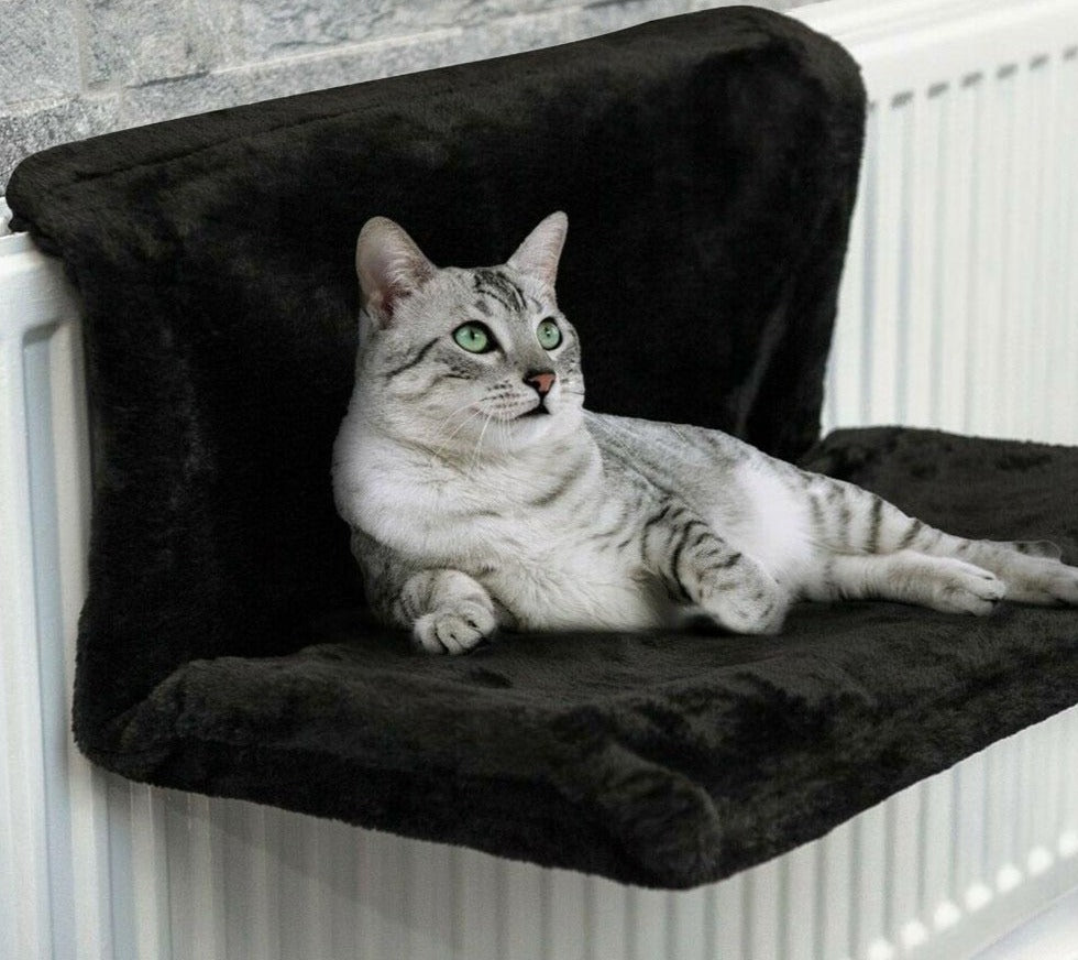pets : Kat Radiator Hangmat in van Pantino