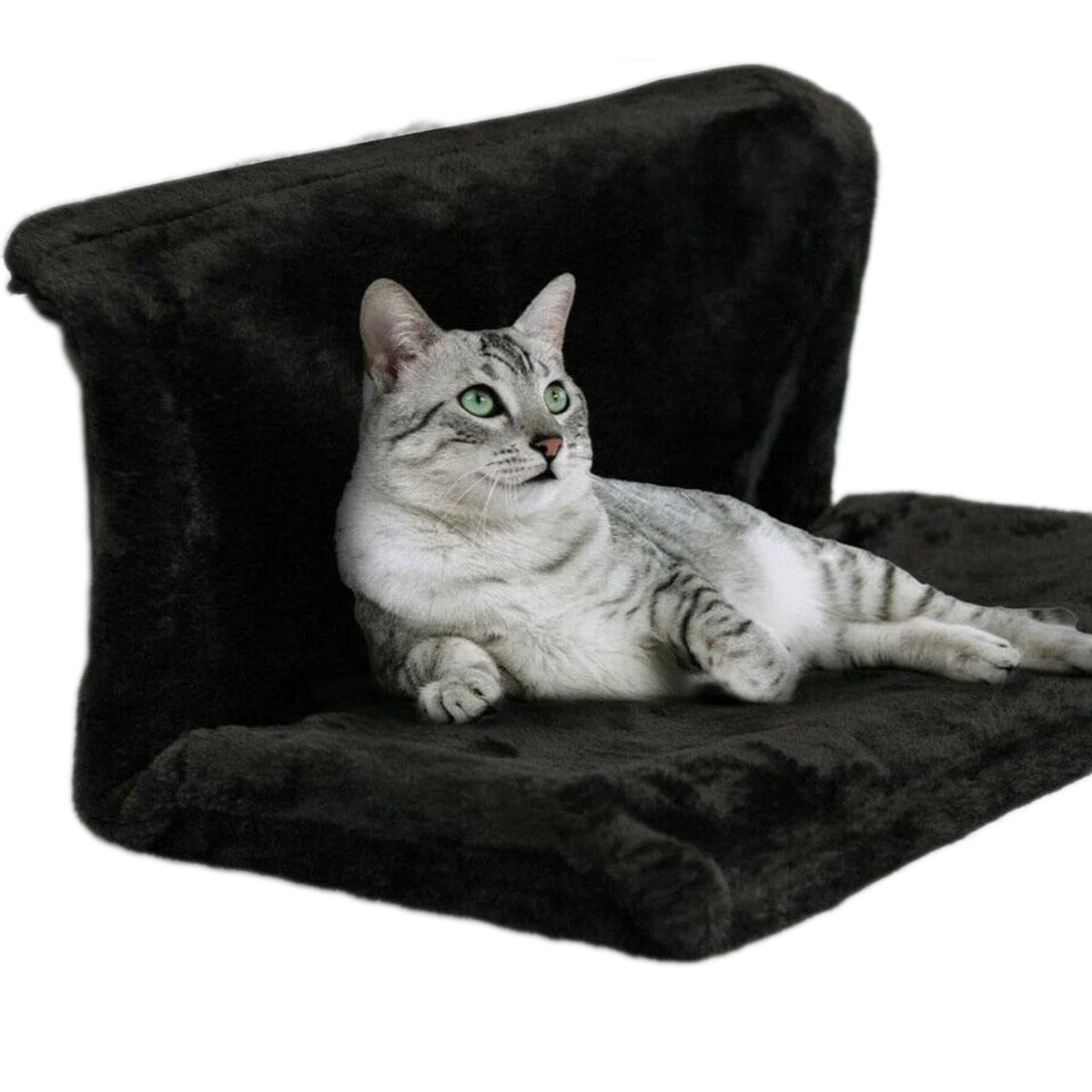 pets : Kat Radiator Hangmat in Zwart van Pantino